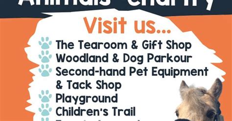 oak tree animals' charity carlisle|Oak Tree Animals' Charity help 4,000 animals amidst rising demand.